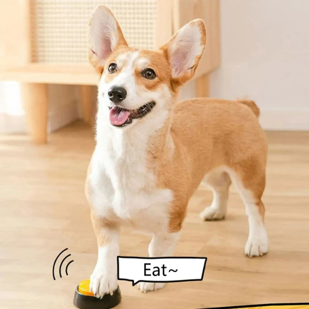 Dog Communication Button – 30s Voice Recording Training Buzzer