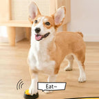 Dog Communication Button – 30s Voice Recording Training Buzzer