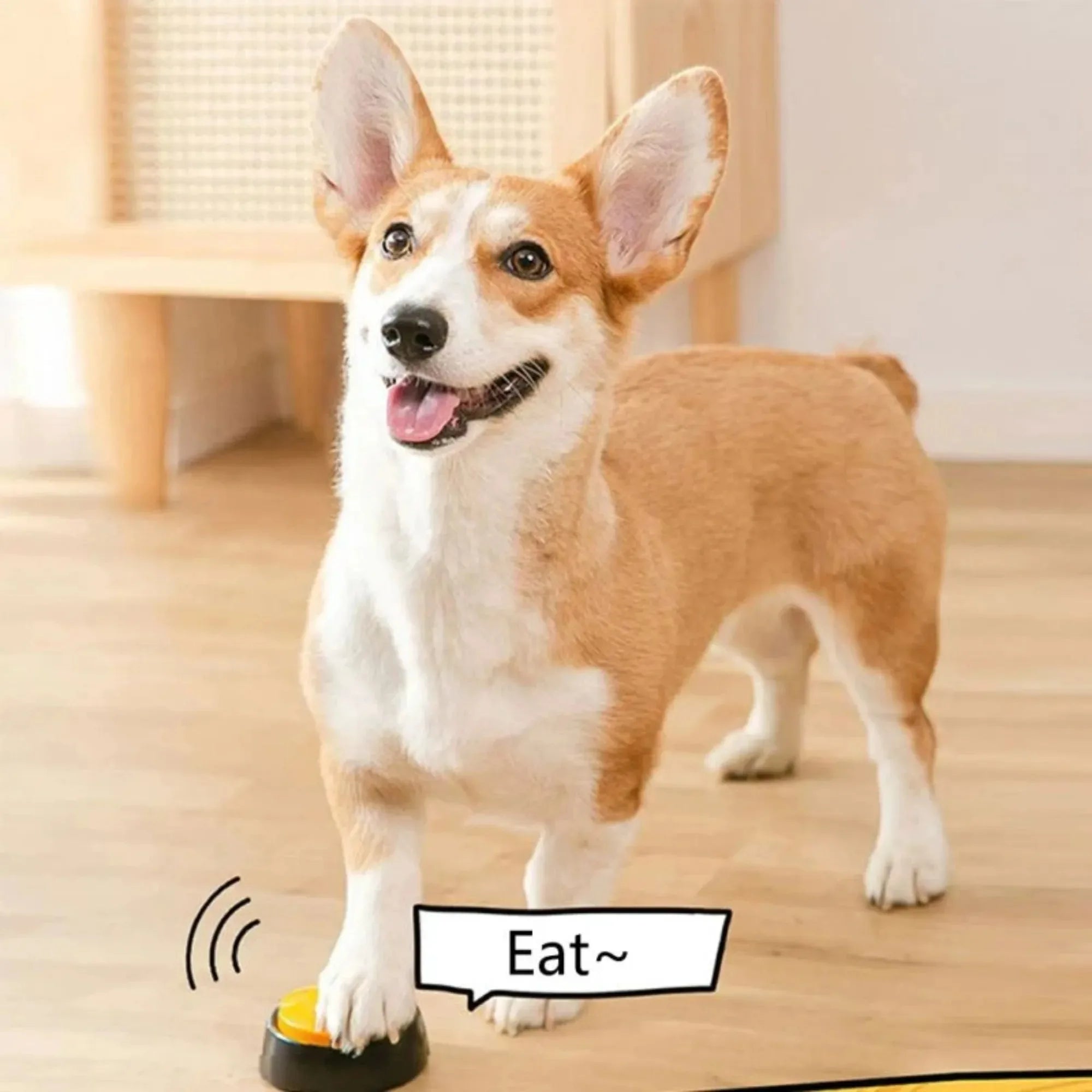 Dog Communication Button – 30s Voice Recording Training Buzzer