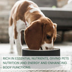 Daily Dog Probiotic Drops – Digestive Health & Stomach Support