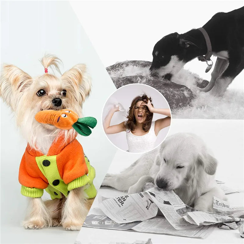 Dog Squeaky Plush Toy Pack – 10/20/50 Pieces
