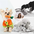 Dog Squeaky Plush Toy Pack – 10/20/50 Pieces