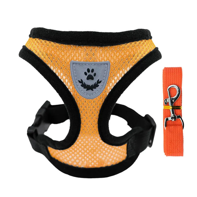 Small Dog Harness & Leash Set – Breathable Mesh Vest
