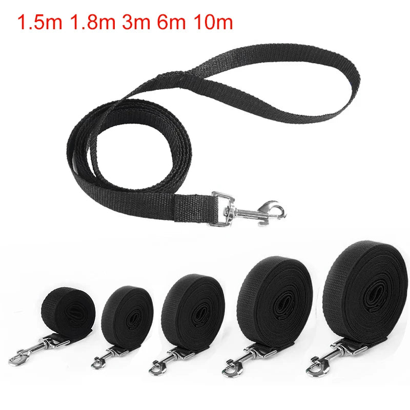 Dog Training Leash – Long Nylon Lead