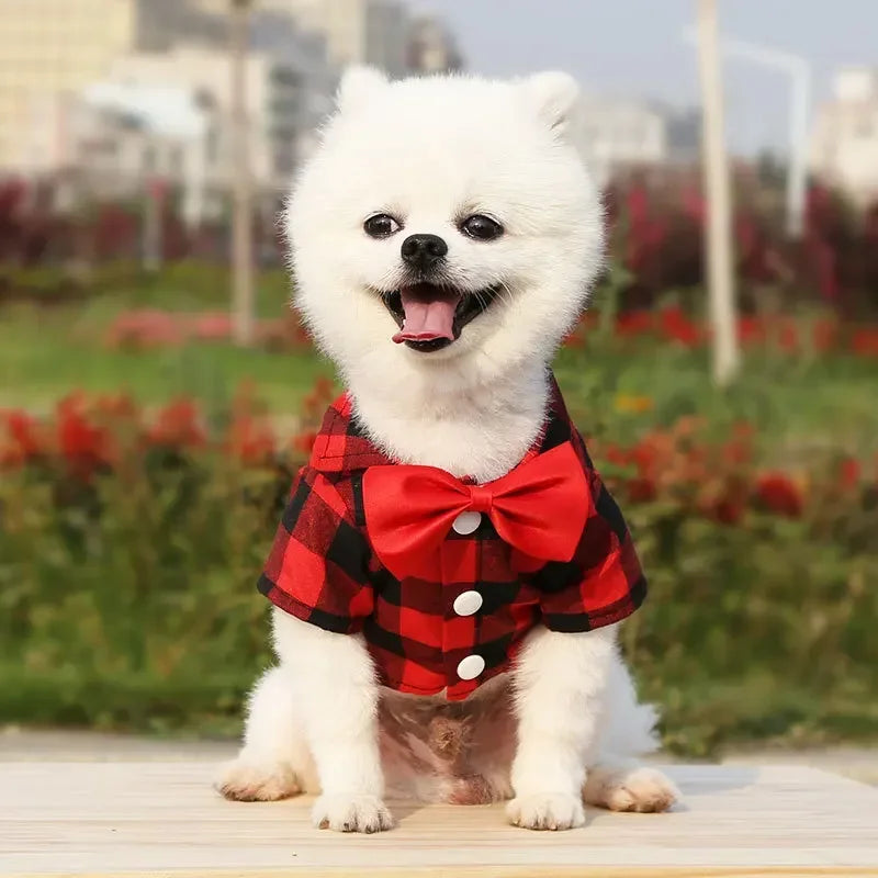 Plaid Dog Vest Coat – Formal Outfit for Small to Medium Dogs