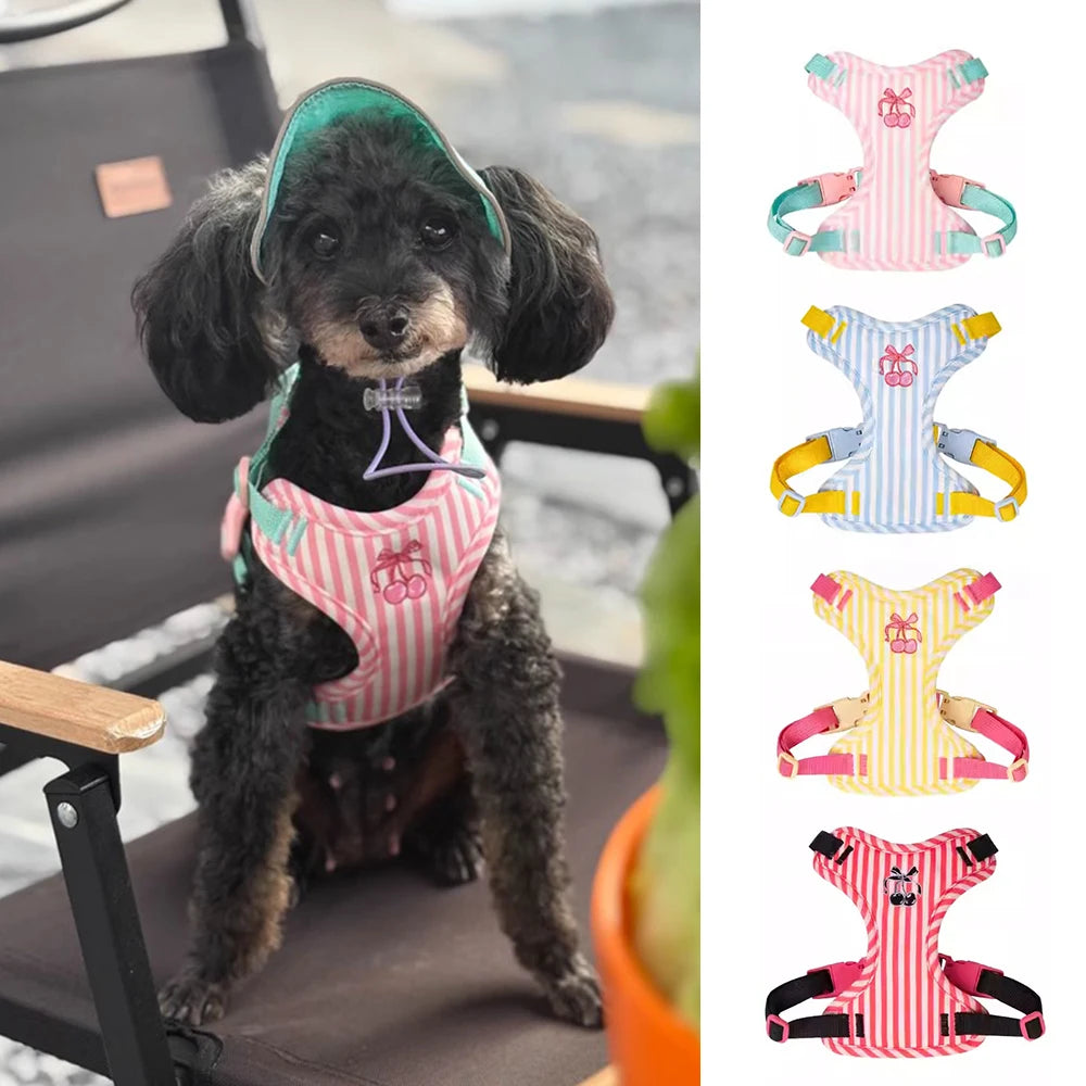 Luxury Dog Harness Set – Stylish Leash & Plush Design