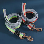 Dog Training Leash – 2M Non-Slip Control Lead