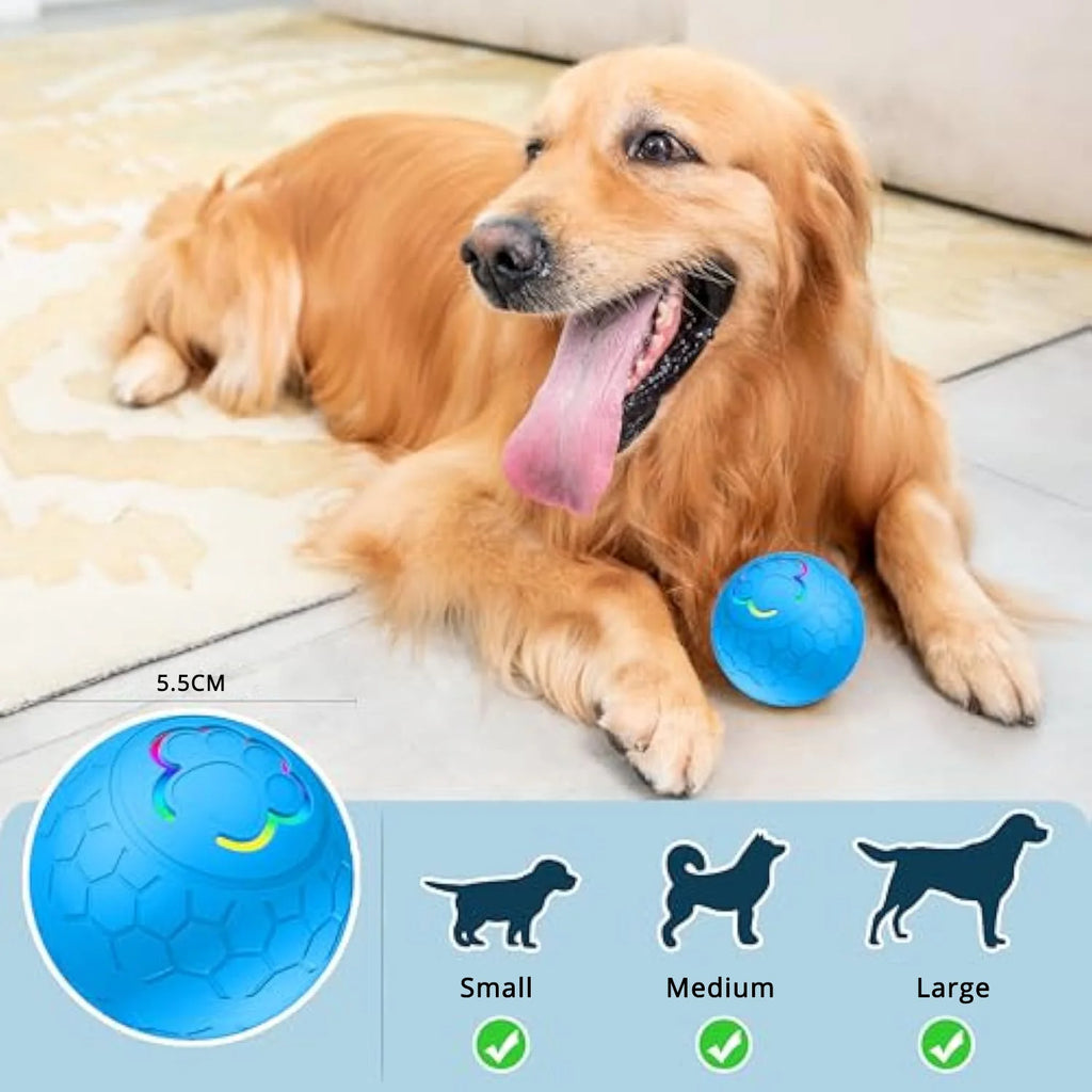 LED Interactive Dog Ball – Automatic Moving & Color Changing Toy