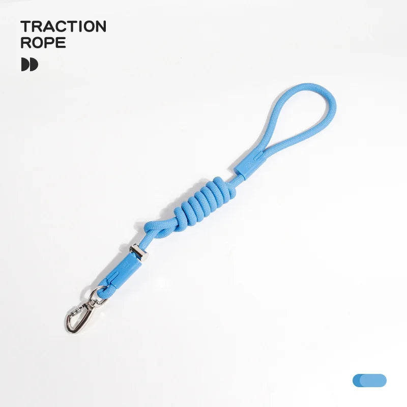 Dog P Chain Leash – Lightweight Slip Rope