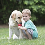KONG Classic Dog Toy – Durable Rubber Chew & Treat Dispensing Toy