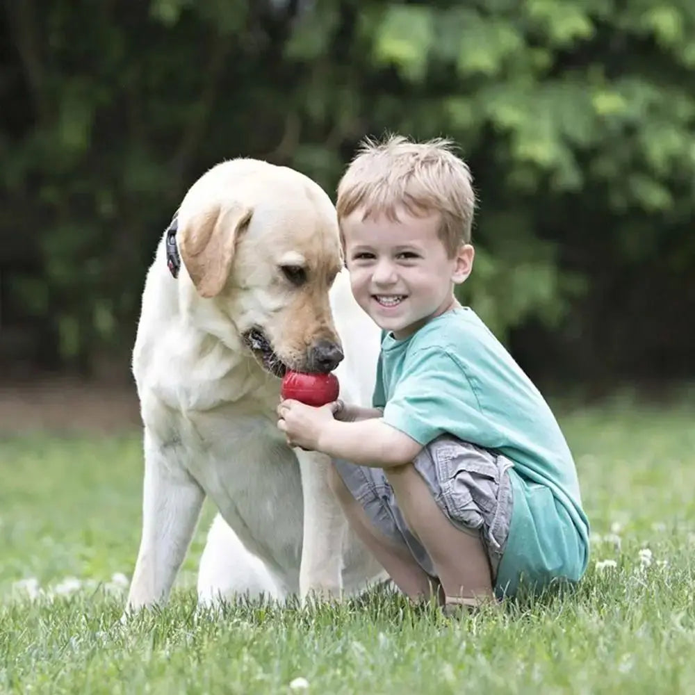 KONG Classic Dog Toy – Durable Rubber Chew & Treat Dispensing Toy