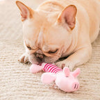 Plush Squeaky Dog Toys for All Sizes — Elephant, Duck & Pig Chew Toys