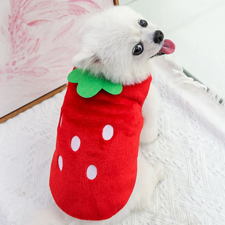 Kajipetcn Winter Fleece Dog Coat – Warm Jacket for Small & Medium Dogs