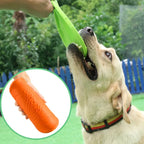 Silicone Dog Flying Disc Toy – Durable Soft Frisbee for Interactive Pet Play