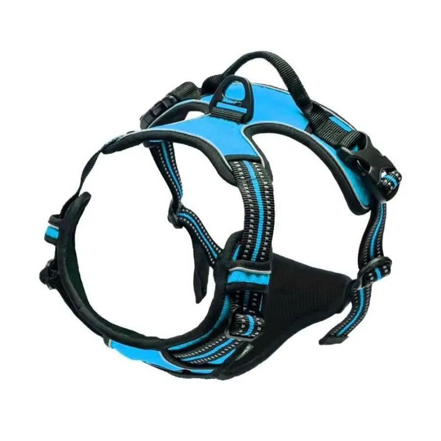 BeiYu Pet Dog Harness Vest Set – Leather Collar & Leash Kit for Small Dogs