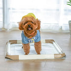 Dog Pee Pad Frame – Portable Training Holder