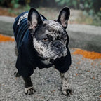 PawPattern XL Dog Hoodie | Black Polyester Winter Jacket for Large Dogs