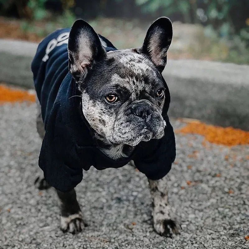 PawPattern XL Dog Hoodie | Black Polyester Winter Jacket for Large Dogs