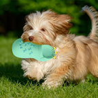 Squeaky Latex Dog Slipper Toy – Durable Chew & Teeth Cleaning Toy