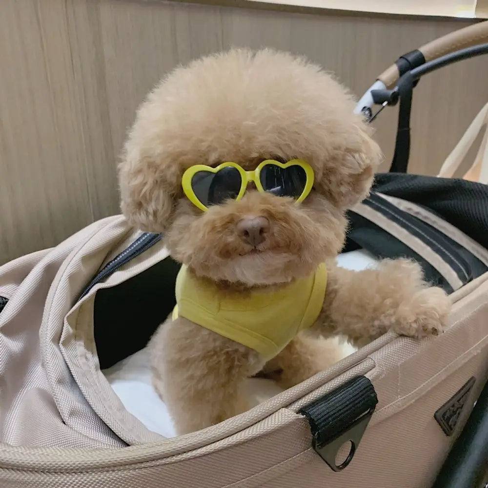 Fashion Heart Dog Sunglasses – Lightweight Photo Accessory