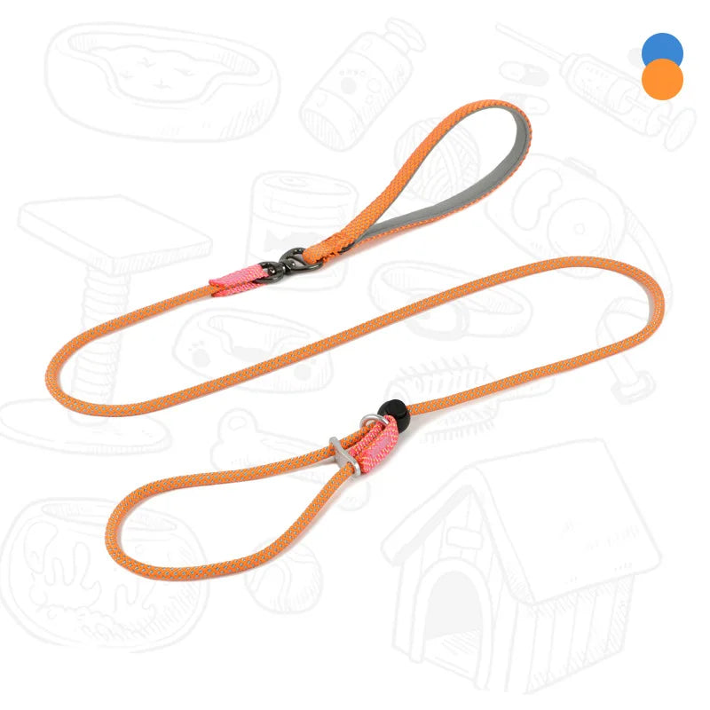 Dog Slip Leash – 2-in-1 Training Control