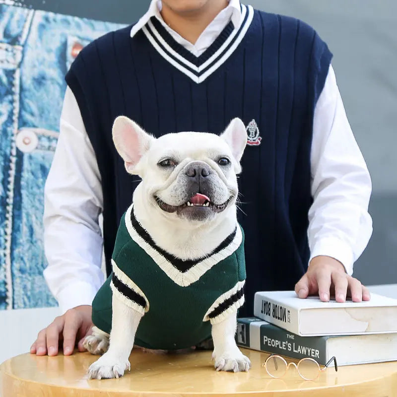 Warm Knit Dog Sweater – Cotton Winter Coat for Small Dogs