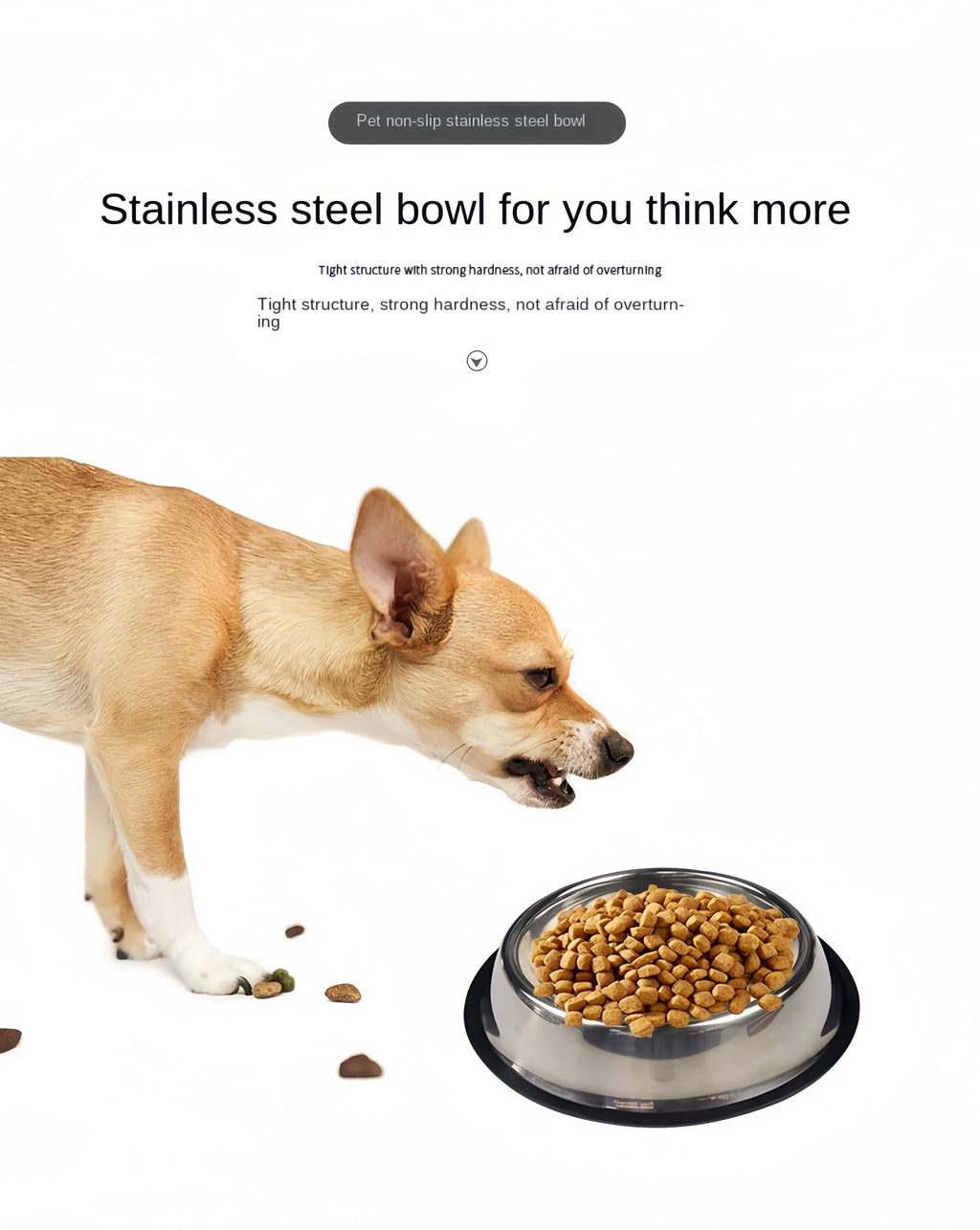 Classic Stainless Steel Dog Bowl – Durable & Rust-Resistant Feeder