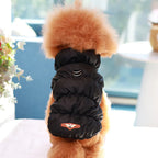 Didog Winter Padded Dog Coat – Windproof Warm Jacket for Small & Medium Dogs