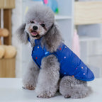 Winter Coat for Small Dogs – Insulated Cotton Jacket for Chihuahua