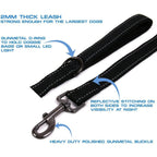Dog Leash – Dual Handle Reflective Control