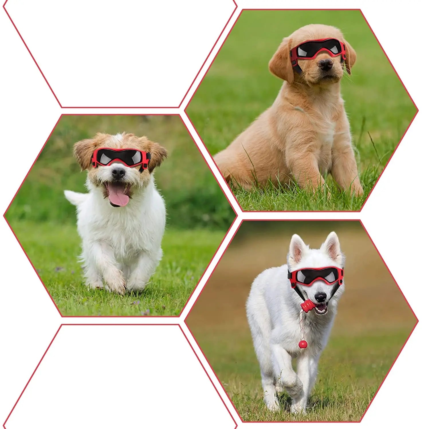 Ouliluye Dog UV Sunglasses – Adjustable Protective Goggles