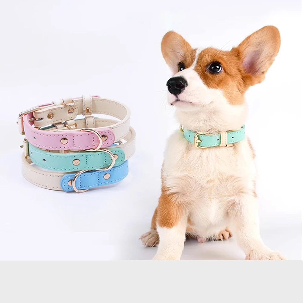 Leather Dog Collar with Anti-Loss Ring – Adjustable S-XL Walking Collar