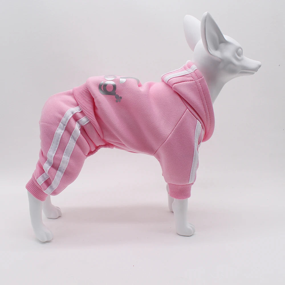 Adidog Dog Jumpsuit – Hooded Spring Outfit for Small Dogs