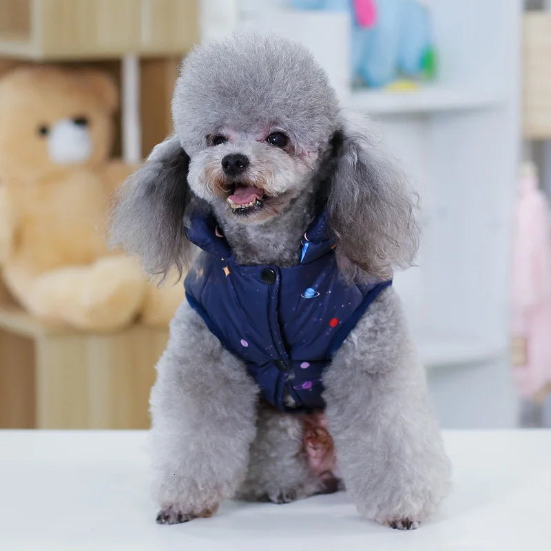 Winter Coat for Small Dogs – Insulated Cotton Jacket for Chihuahua