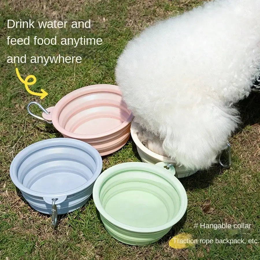Collapsible Dog Travel Bowl – Portable Silicone Feeder with Carabiner (350ml)