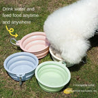 Collapsible Dog Travel Bowl – Portable Silicone Feeder with Carabiner (350ml)