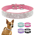 Suede Crystal Dog Collar – Rhinestone Buckle Sparkle