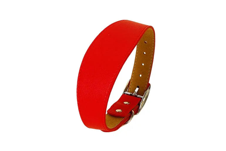 Wide Leather Dog Collar for Greyhounds – Durable Buckle Long-Neck Fit
