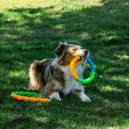 KONG Twistz High-Viz Ring – Glow-in-the-Dark Fetch Toy (S)