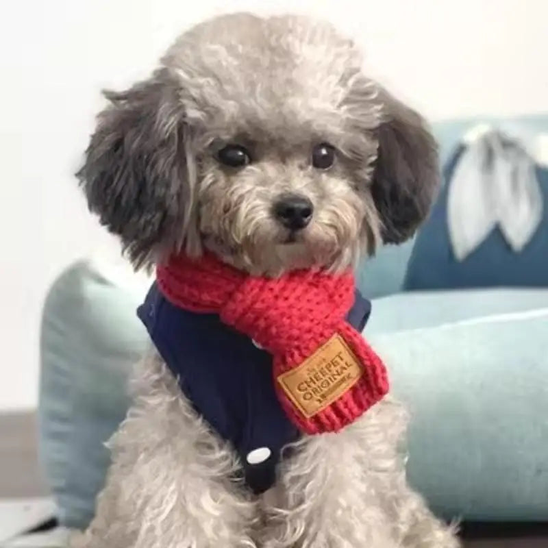 Korean Style Knitted Dog Scarf – Winter Warm Bow, One Size