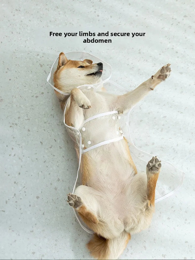 Clear EVA Dog Raincoat – Waterproof Windproof Jacket