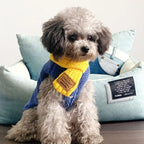 Korean Style Knitted Dog Scarf – Winter Warm Bow, One Size