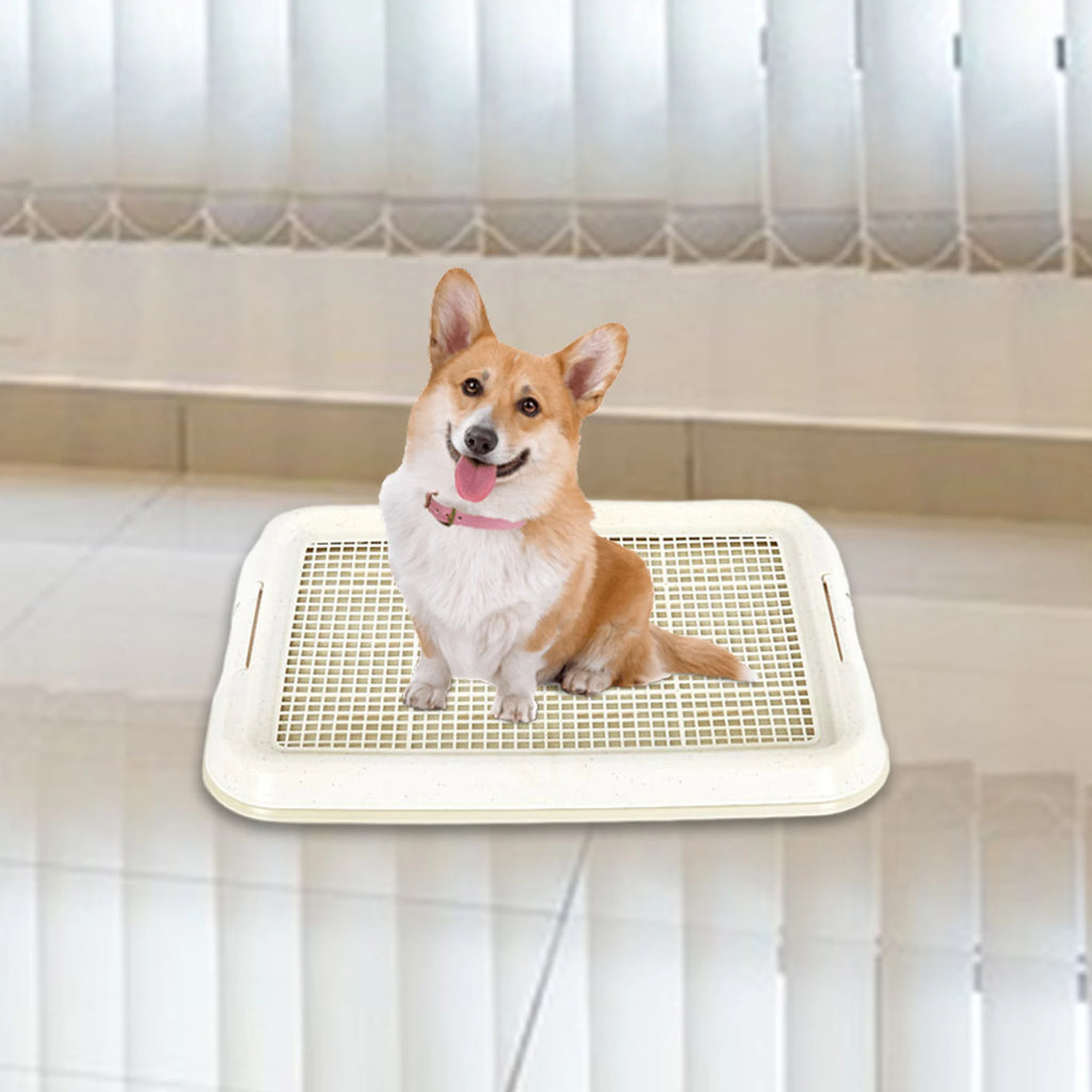 Dog Potty Tray – Anti-Slip Training Toilet