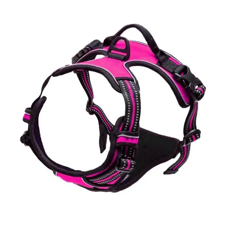 BeiYu Pet Dog Harness Vest Set – Leather Collar & Leash Kit for Small Dogs