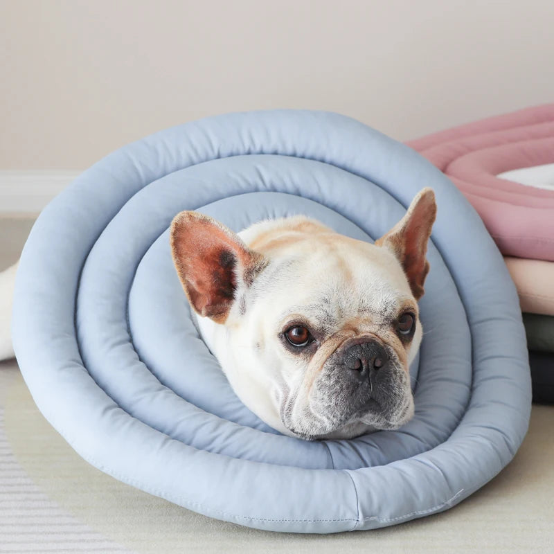Dog Recovery Collar – Soft Protective Cone