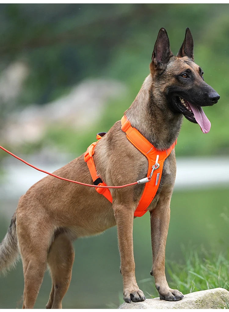 No Pull Dog Harness – Reflective Control Vest with Handle