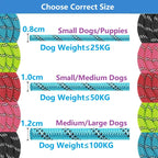 Dog Leash – Soft Handle Control