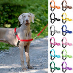 Dog Harness Vest – Heavy Duty Adjustable Training Harness