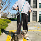 Dog Leash – Reflective Hands-Free Running