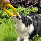 Indestructible Dog Ring Toy – Floating for All Sizes